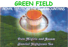 GREEN FIELD TEA from the BLUE MOUNTAINS